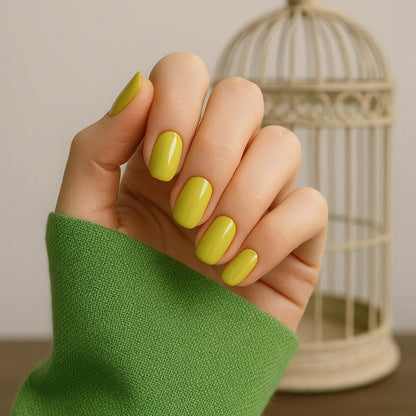 Colour Series, Hema & TPO Free, Daffodil, 15ml